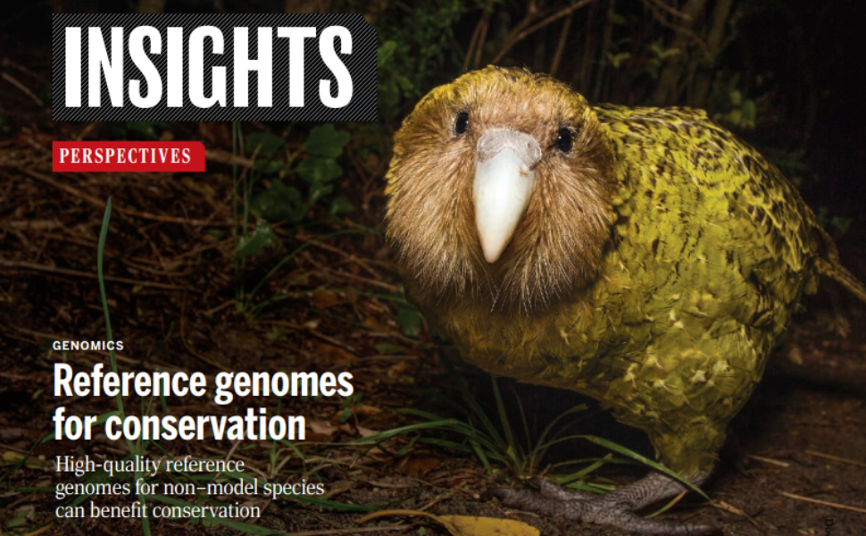 Reference genomes for conservation