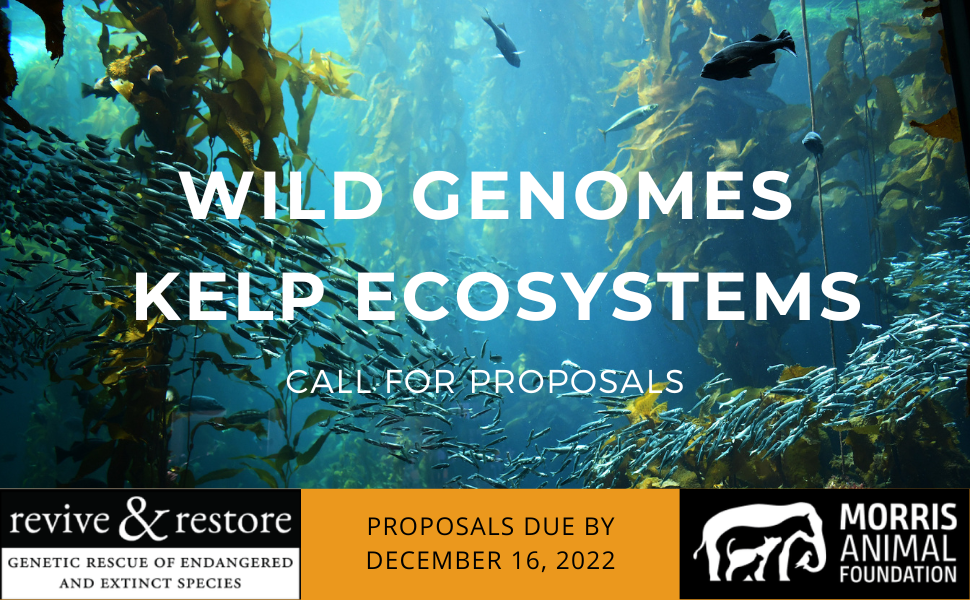 Wild Genomes (Kelp ecosystems)